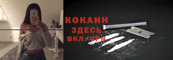 тгк Арсеньев