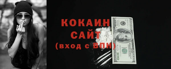 тгк Арсеньев