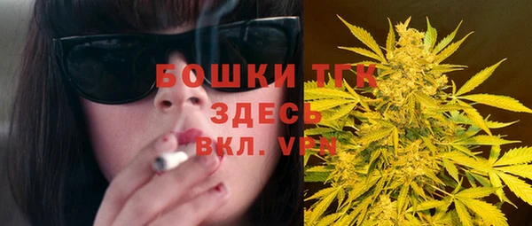 тгк Арсеньев