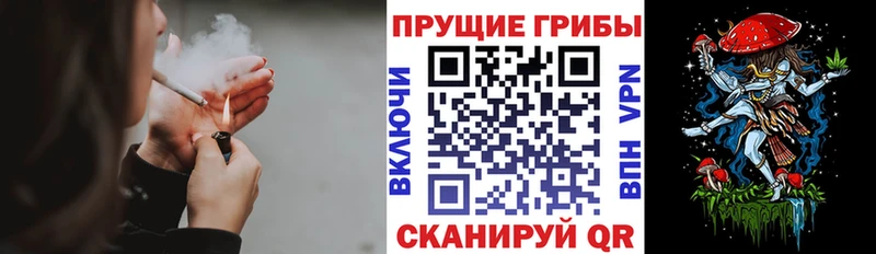 Псилоцибиновые грибы мухоморы  OMG онион  Билибино 